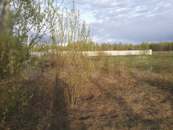 Участок 15 сот. (ИЖС)