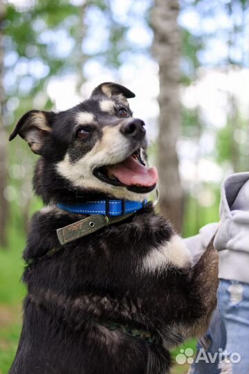 Брюс всемогущий бесплатно