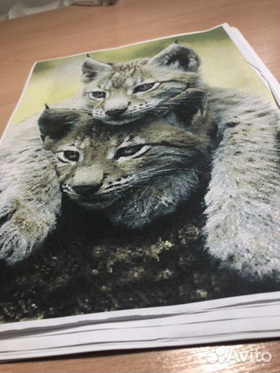 Схема для вышивания