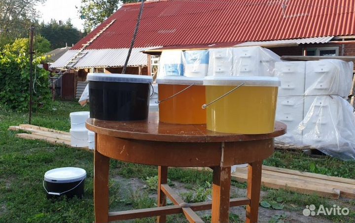 Мед Дягеливый качка 2023 год.- доставка