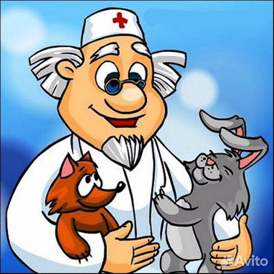 Ветеринарная помощь на дому