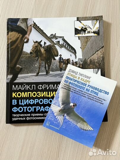 Новая Фриман Майкл. Композиция