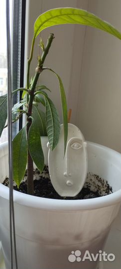 Декоративные гипсовые головы