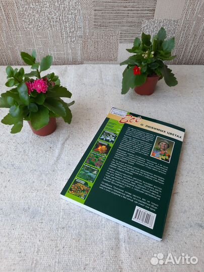 Книга Все о любимых цветах