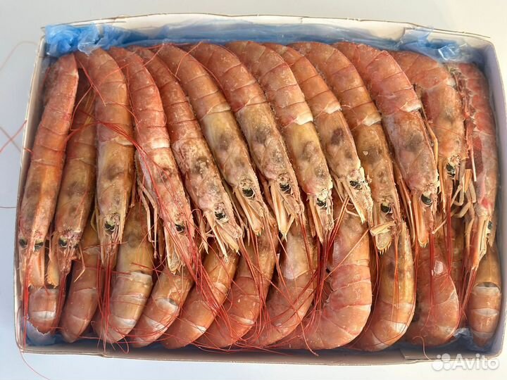 Морепродукты, рыба, икра