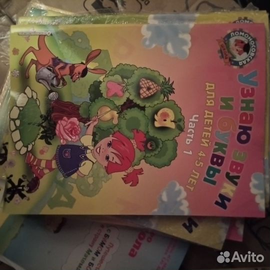 Пособия для подготовки, Ломоносовская школа