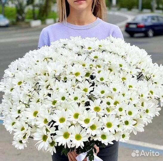 Хризантема Букеты доставка цветов