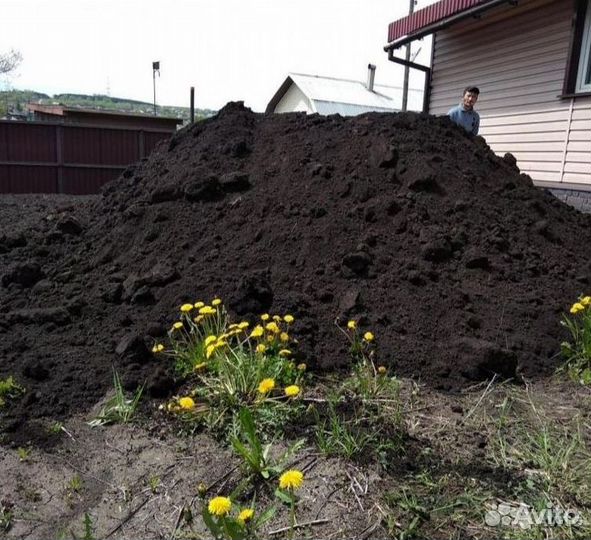 Чернозём
