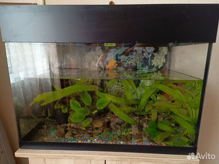 Аквариум с тумбой 60л
