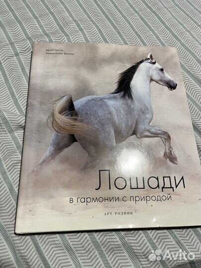 Брангар «Лошади в гармонии с природой»