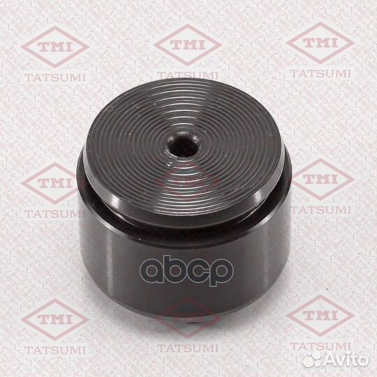 Поршень переднего тормозного суппорта TCG1033 T