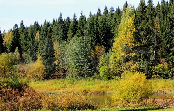 Участок 66 га (СНТ, ДНП)