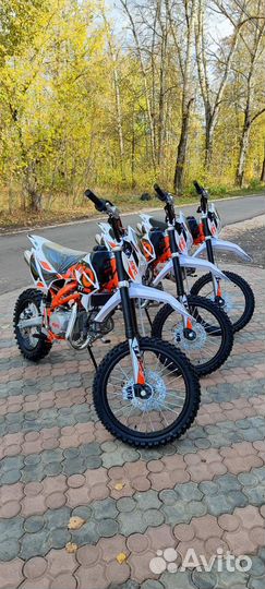 Питбайк kayo basic тт125 17/14 KRZ (2023 г.)