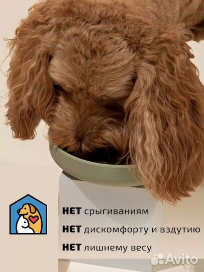 Миска для медленного кормления кошек и собак