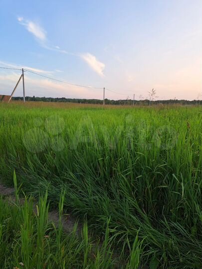 Участок 10 сот. (СНТ, ДНП)