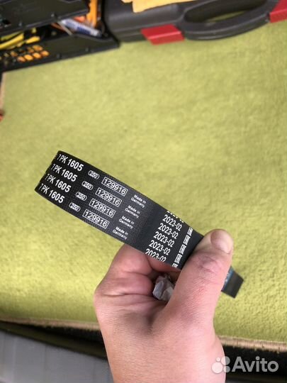 Ремень поликлиновый Nissan, Renault