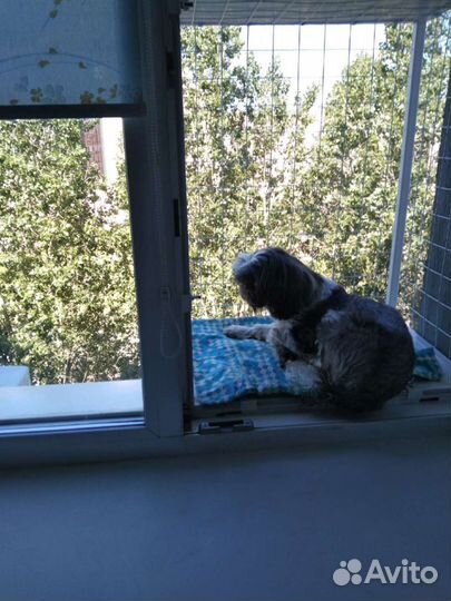 Вольеры-Балконы Сетка-Решётка Антикошка