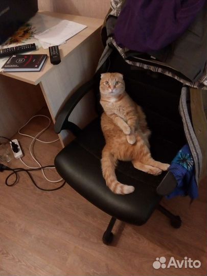 Cd mp3 плеер Panasonic SL-CT582V