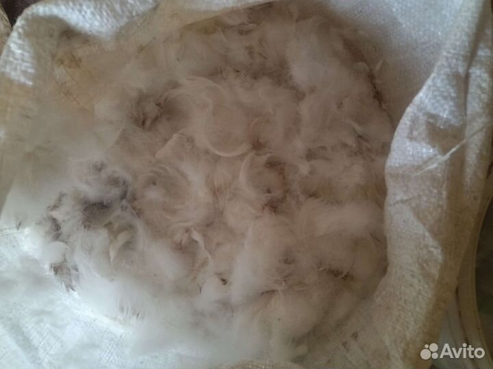 Пух перо гусиное