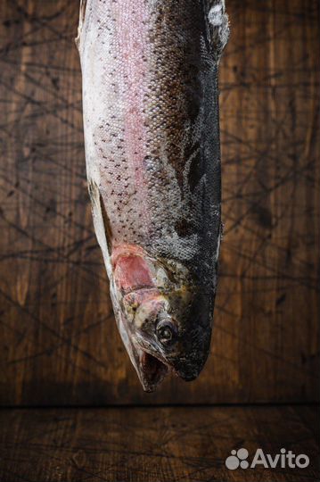 Рыба и морепродукты