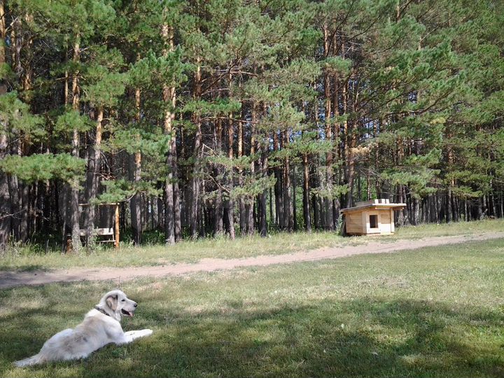 Участок 4,2 га (СНТ, ДНП)