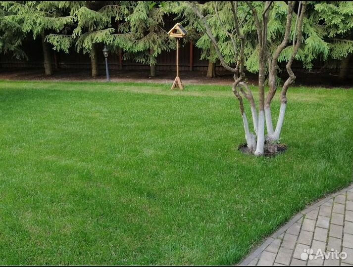 Газон рулонный спортивный