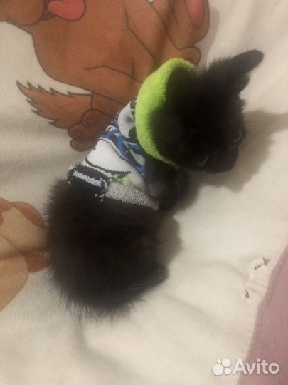 Бурманская