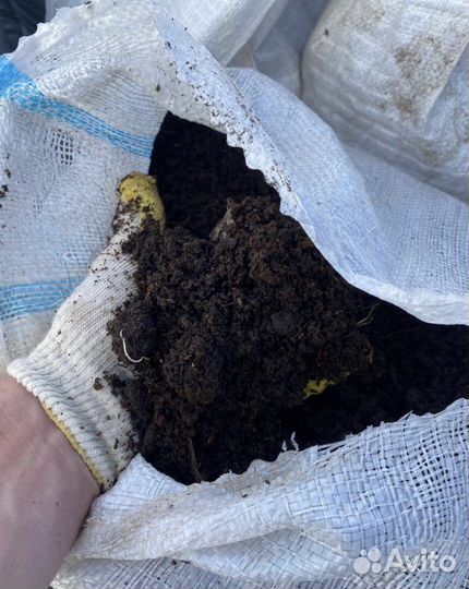 Перегной в мешках и расыпью. Чернозем