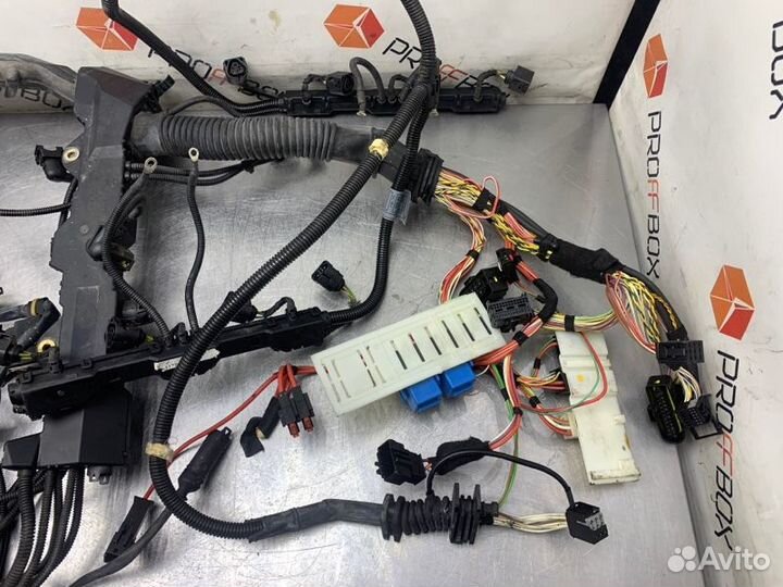 Проводка двигателя Bmw X5 E70 N62B48B 2007