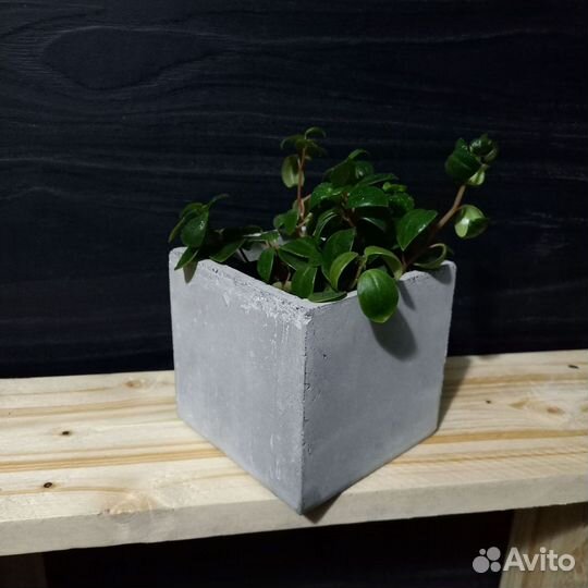 Вазоны, Горшки, Кашпо под заказ из бетона