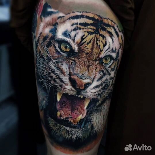 Тату в Студии