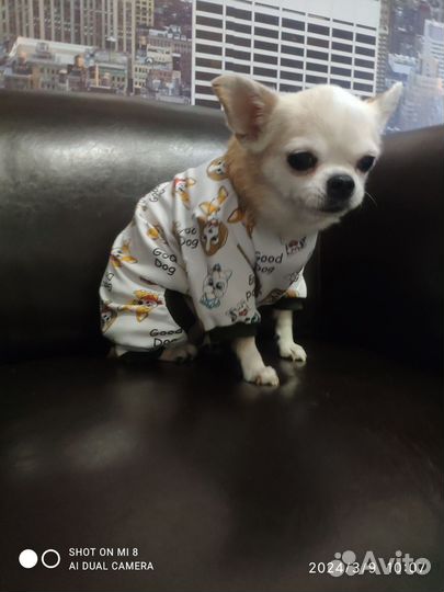 Пыльник комбинезон для собачки