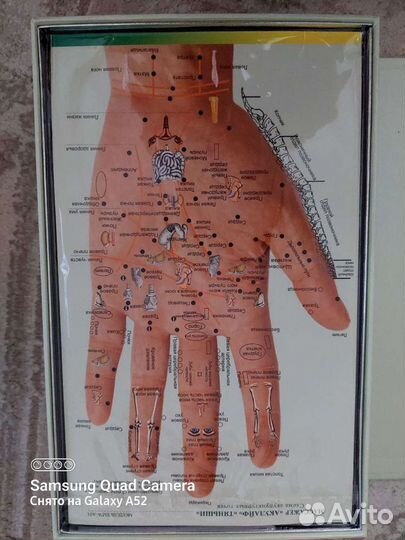 Массажёр Акулайф