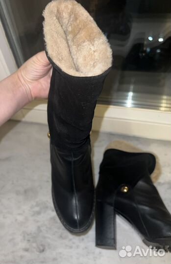 Сапоги женские натуральная кожа зимние vicini