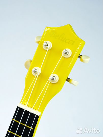 Укулеле. Гитара. Гавайская гитара