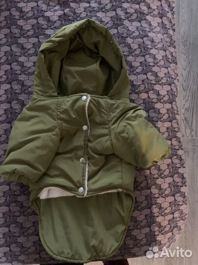 Одежда для небольших собак