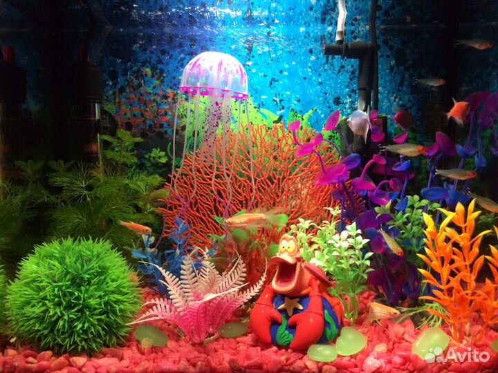 Аквариум с украшениями