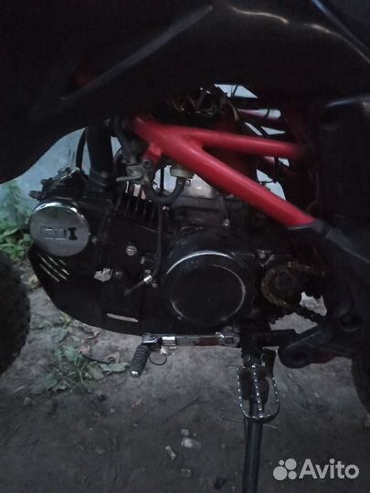 Питбайк ирбис тт125. Обмен