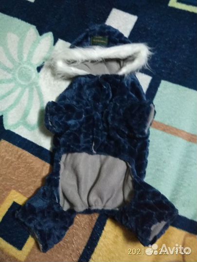 Одежда для собачки