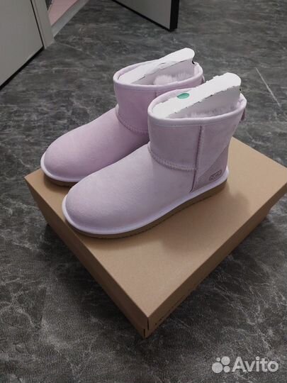 Ugg новые