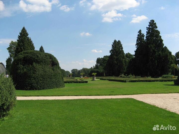 Рулонный газон от производителя