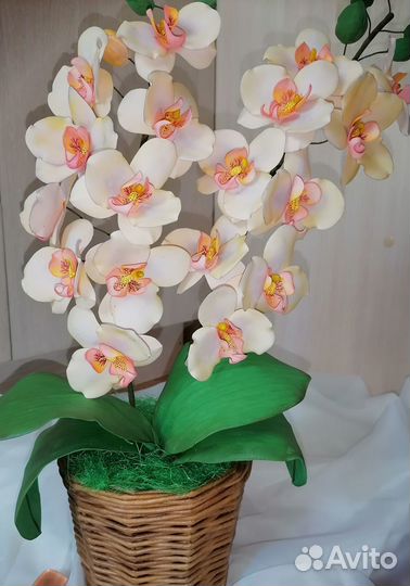 Орхидея в горшочке