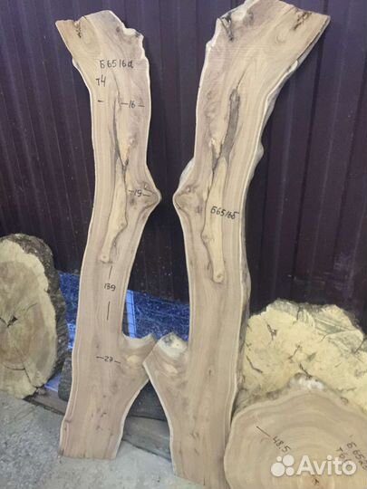 Слэб карагач