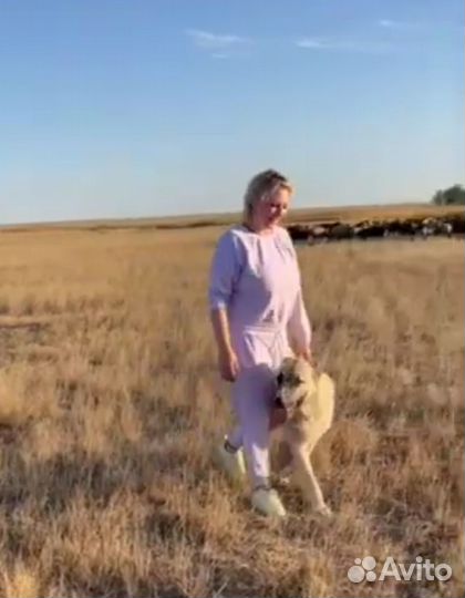 Ищу инвестора для бизнеса