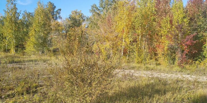 Участок 21 сот. (ИЖС)