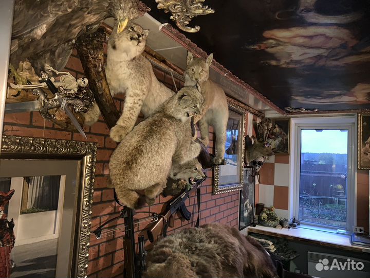 Рысь имитация