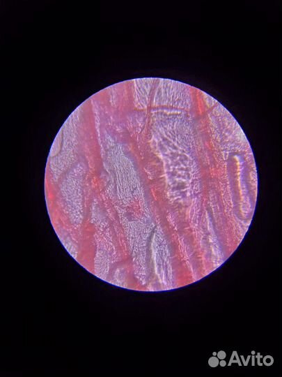 Микроскоп биологический xsp-02