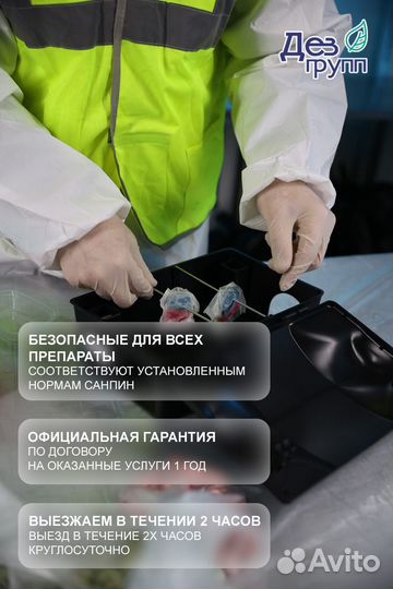 Дезинфекция