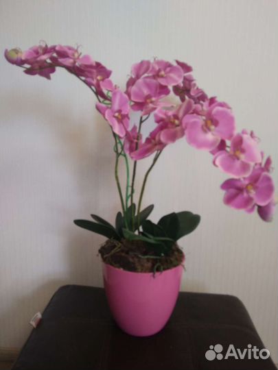 Искусственная орхидея фаленопсис в горшке