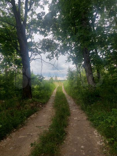 Участок 12 сот. (ИЖС)